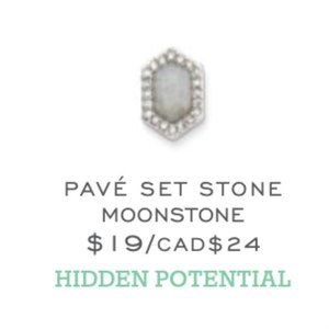 Keep Collective Pave Set Stone Moonstone Charm (retired)